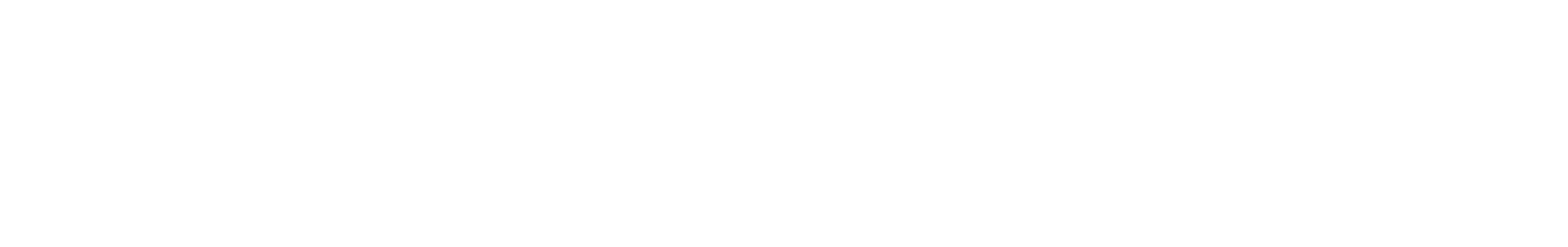 Braineering IT Solutions