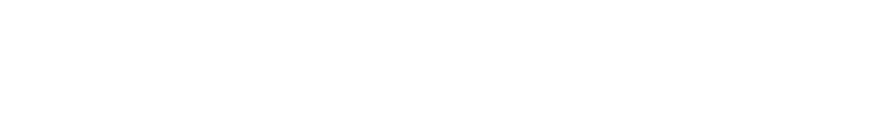 Braineering IT Solutions
